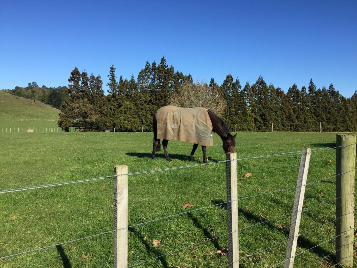 Veld View Bed And Breakfast Tuakau Εξωτερικό φωτογραφία