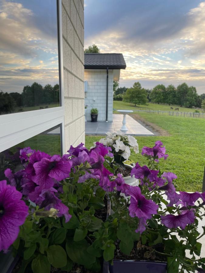 Veld View Bed And Breakfast Tuakau Εξωτερικό φωτογραφία