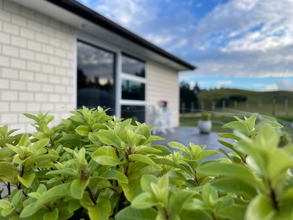 Veld View Bed And Breakfast Tuakau Εξωτερικό φωτογραφία
